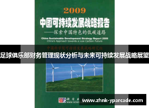 足球俱乐部财务管理现状分析与未来可持续发展战略展望